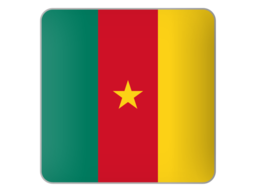 Cameroon CFA Franc – XAF